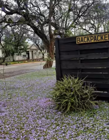 Ann Bruce Backpackers