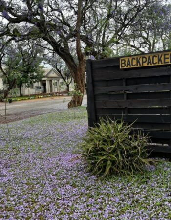 Ann Bruce Backpackers