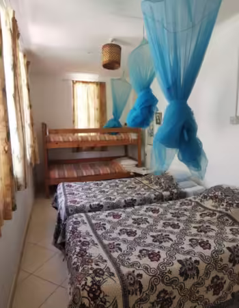 Ann Bruce Backpackers
