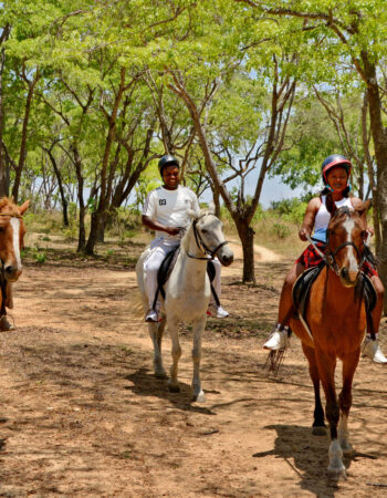 Figtree Camp (Coming Soon)