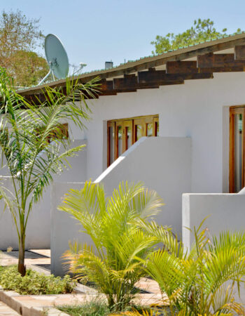 Figtree Camp (Coming Soon)