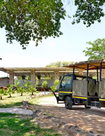 Figtree Camp (Coming Soon)