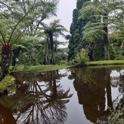 Vumba Botanical Gardens and Reserve