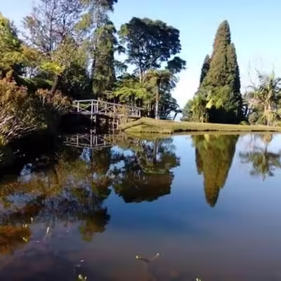 Vumba Botanical Gardens and Reserve