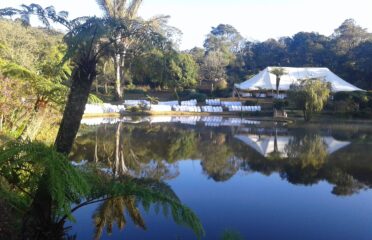 Vumba Botanical Gardens and Reserve