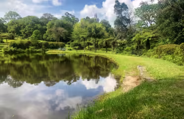 Vumba Botanical Gardens and Reserve