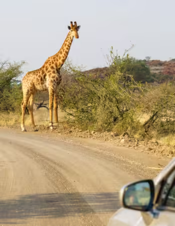 Makumbiri Game Park