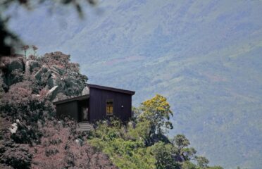 Treehouse Chimanimani