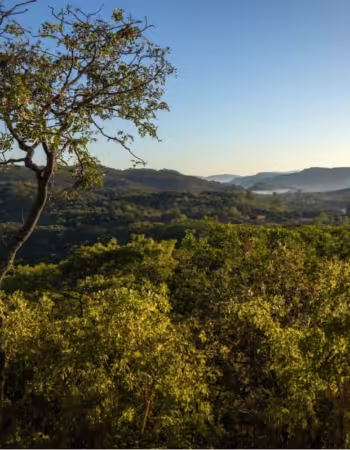 Miombo Mountain Lodge and Spa