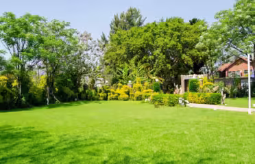 Shumbas Garden & Events