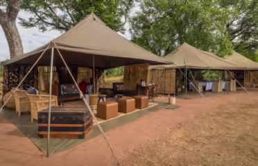 Hwange Bush Camp
